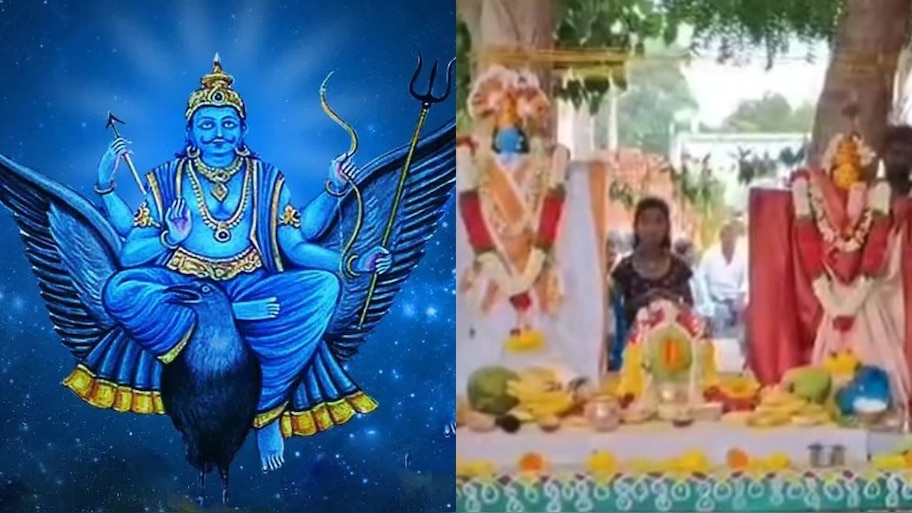 Tree Wedding: సకల దోషాలకు నివారణ.. రావిచెట్టు, వేప చెట్టుకు పెళ్లి చేయాల్సిందే!