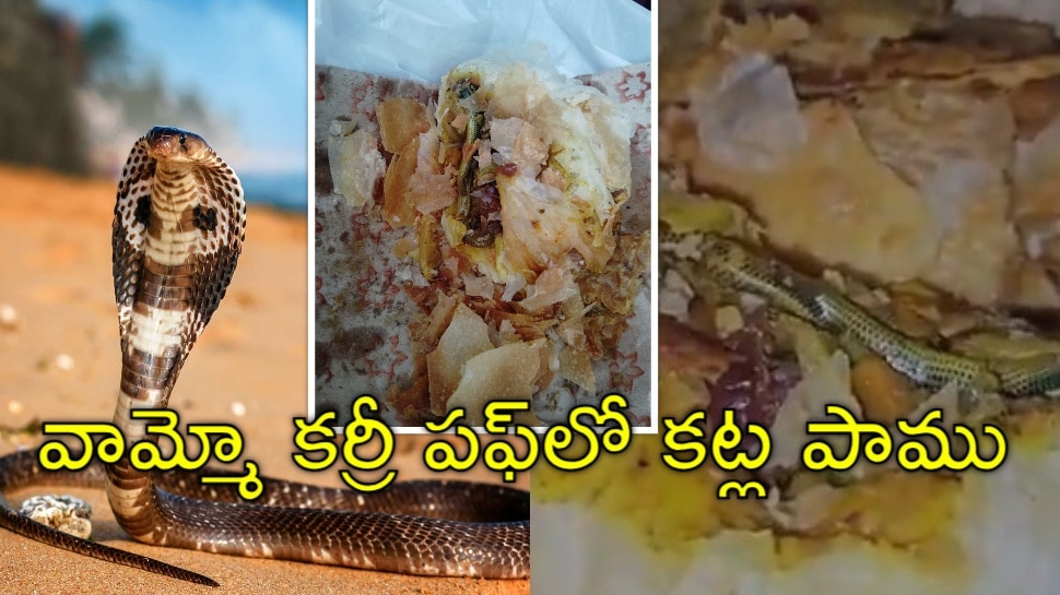 Snake Found In Veg Puff Video Goes Viral Social Media | Snake In Veg ...