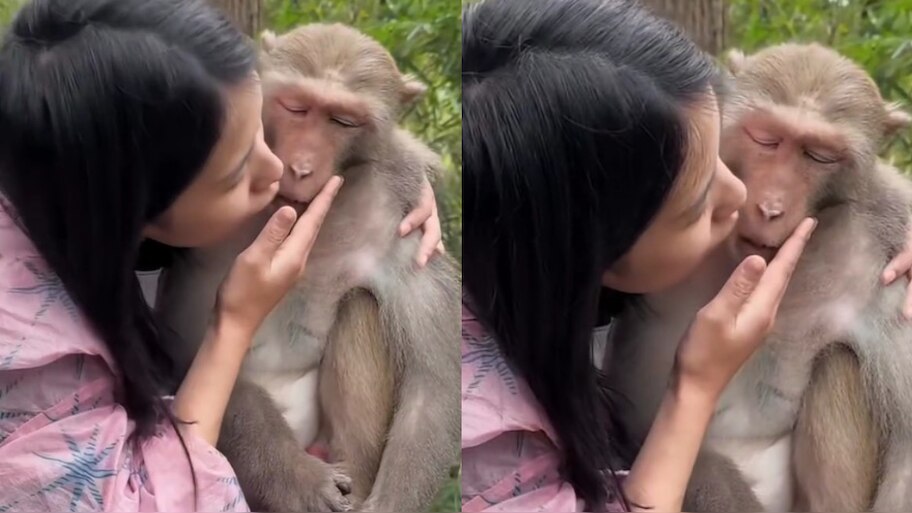 Video Viral: ఇదెక్కడి కరువురా నాయన.. కోతిని ముద్దు పెట్టుకుంటూ టెంప్ట్ చేస్తున్న యువతి.. వీడియో వైరల్..