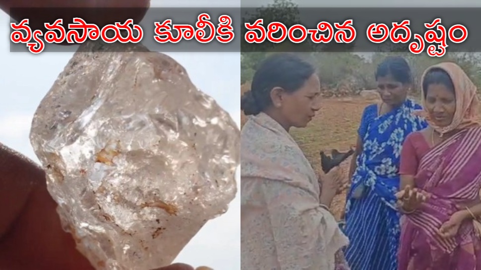 Diamond In Farm: మహిళా రైతుకు జాక్పాట్.. పొలంలో దొరికిన అత్యంత ఖరీదైన వజ్రం Diamond In Farm: మహిళా రైతుకు జాక్పాట్.. పొలంలో దొరికిన అత్యంత ఖరీదైన వజ్రం