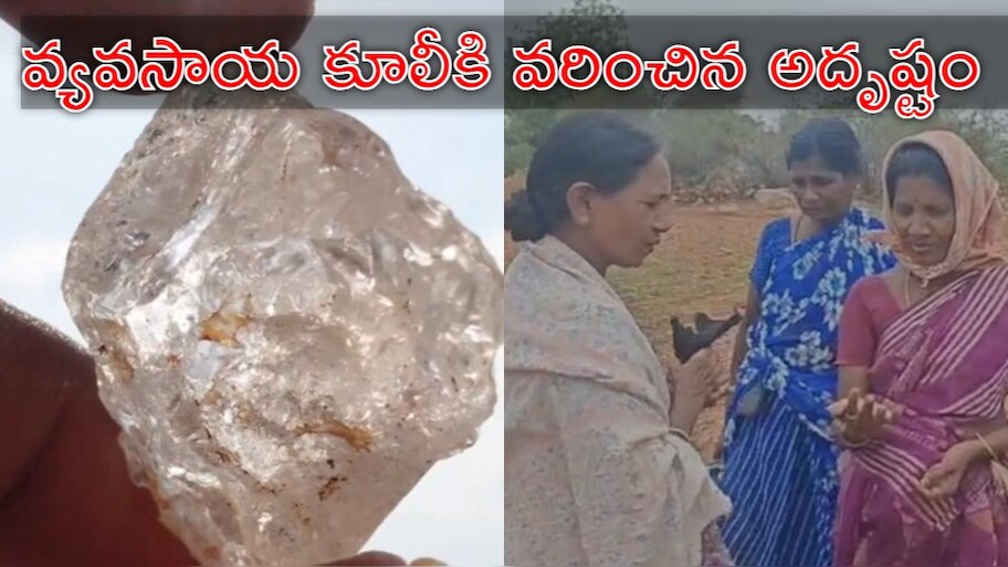 Diamond In Farm: మహిళా రైతుకు జాక్‌పాట్‌.. పొలంలో దొరికిన అత్యంత ఖరీదైన వజ్రం