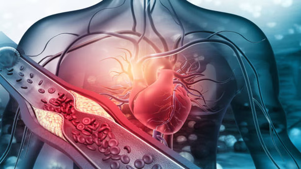Heart Attack: గుండెపోటు వచ్చే ముందు కనిపించే లక్షణాలు ఇవే! ముందే తెలుసుకోండి! Heart Attack: గుండెపోటు వచ్చే ముందు కనిపించే లక్షణాలు ఇవే! ముందే తెలుసుకోండి!