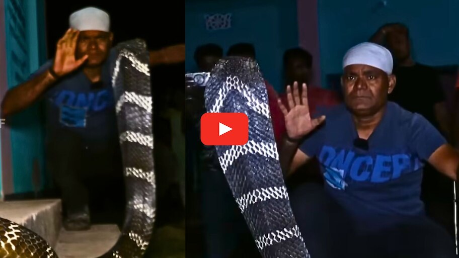 King Cobra Video: ఇంట్లోకి చొరబడబోయిన భారీ నాగుపాము.. చివరికి ఎలా పట్టుకున్నారో చూడండి.. వీడియో..