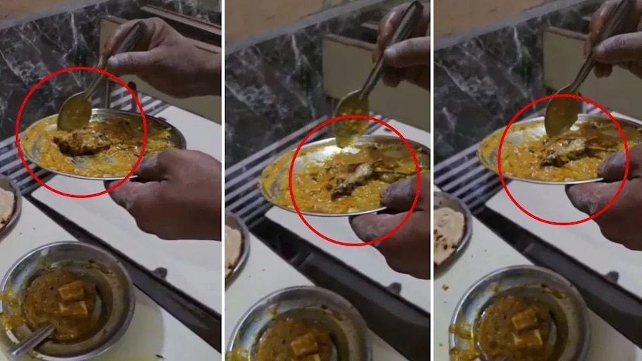 Dead Rat Found: పనీర్ కూరలో చనిపోయిన ఎలుక! పాపం సగం కూర తినేశాడు అప్పటికే!!