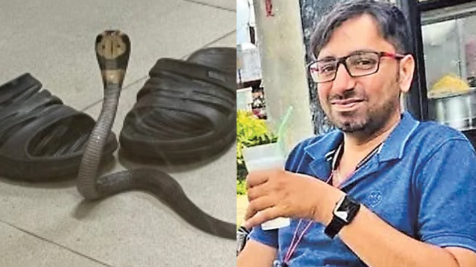 Snake in Slippers: చెప్పులో దూరి నక్కిన  పాము.!. టెకీ దుర్మరణం వెనుక అసలు కారణం ఏంటంటే..?
