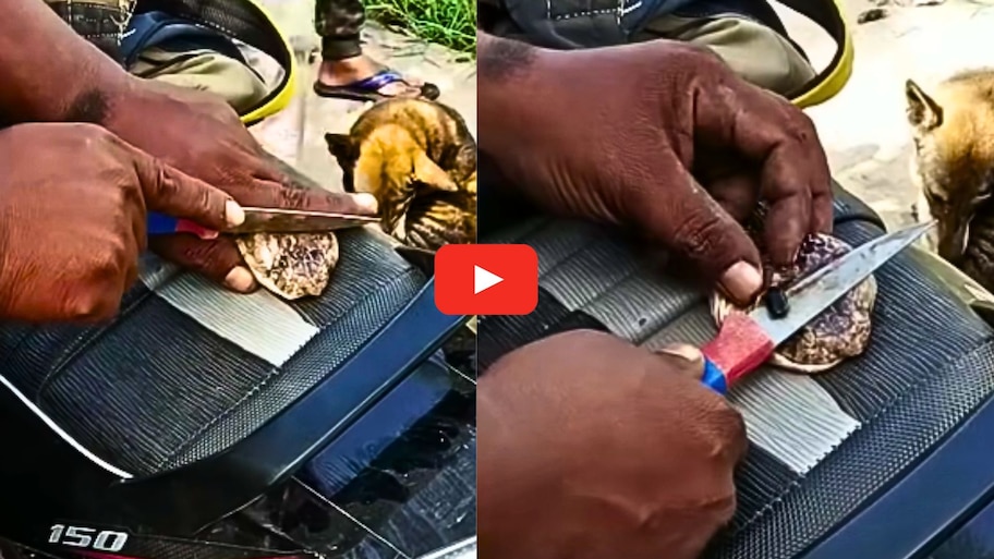 Nagamani Taking Video: వామ్మో.. తలను కోసి.. పాము నుంచి నాగమణి తీసిన యువకుడు.. వీడియో ఇదే..
