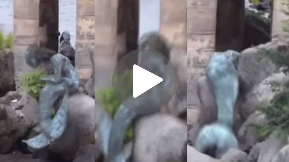 Mermaid Video: బీచ్లో అర్ధనగ్నంగా జలకన్య..! ఇంటర్నెట్లో ట్రెండ్ అవుతున్న వీడియో? Mermaid Video: బీచ్లో అర్ధనగ్నంగా జలకన్య..! ఇంటర్నెట్లో ట్రెండ్ అవుతున్న వీడియో?
