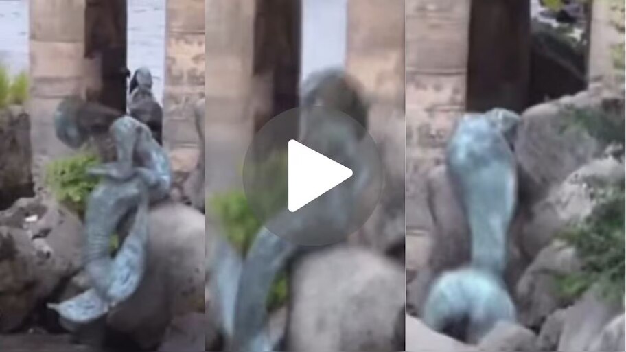 Mermaid Video: బీచ్‌లో అర్ధనగ్నంగా జలకన్య..! ఇంటర్నెట్‌లో ట్రెండ్ అవుతున్న వీడియో?