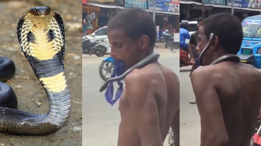 Video Viral: ఏంట్రా శివయ్య అనుకుంటున్నావా..?.. మెడలో నాగు పాము వేసుకుని వ్యక్తి  రచ్చ.. వీడియో వైరల్..