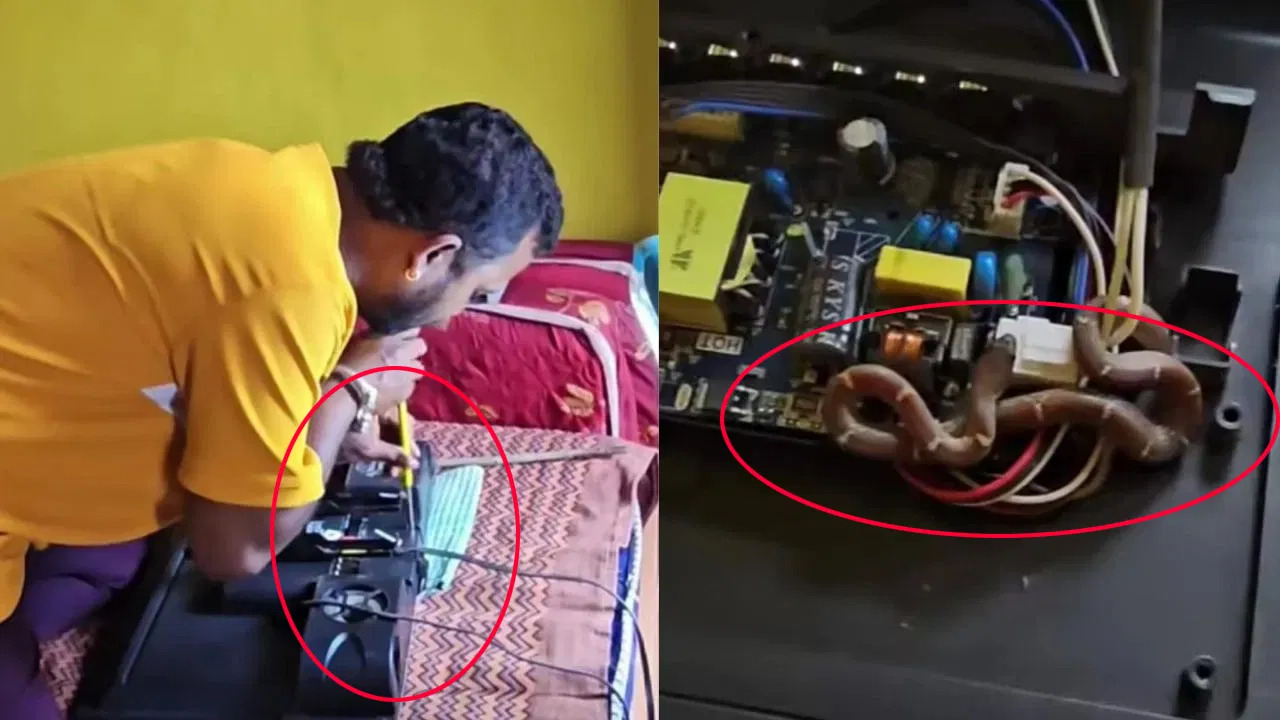 Snake Video: టీవీలో నుంచి వింత శబ్దాలు..తీసి చూస్తే భయంకమైన పాము!! Snake Video: టీవీలో నుంచి వింత శబ్దాలు..తీసి చూస్తే భయంకమైన పాము!!