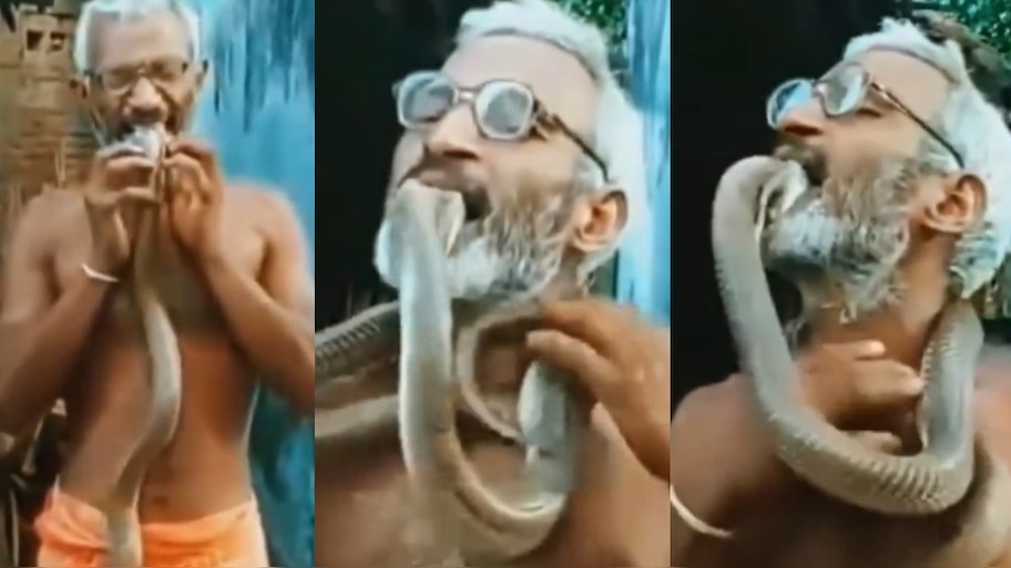 Man Kissing Snake Video: ఏంటీ భయ్యా.. ఇంత వైలెంట్‌గా ఉన్నాడు.!. నాగు పామును నోట్లో పెట్టుకుని కసితీరా.. షాకింగ్ వీడియో..