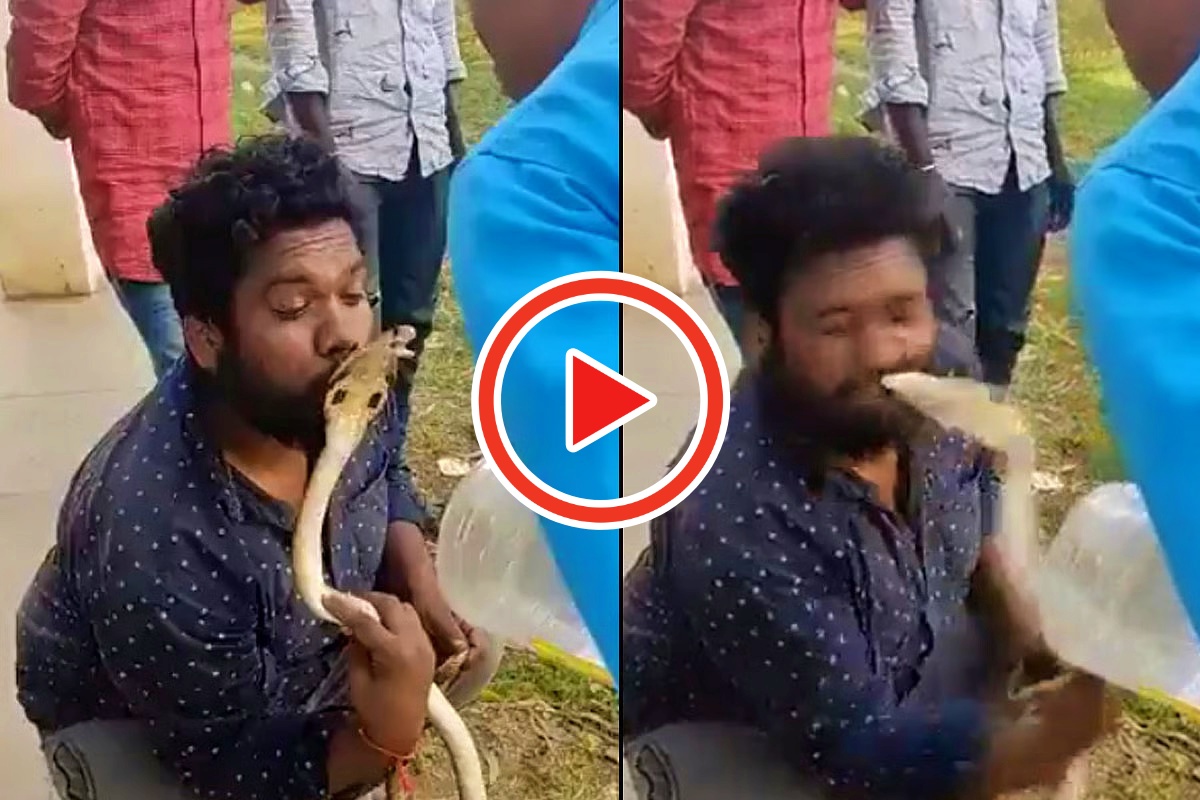 Snake Video: మనిషి ముఖాన్ని దారుణంగా కొరికేసిన నల్లత్రాచు పాము..ముఖం నిండుగా పాము గాట్లు! Snake Video: మనిషి ముఖాన్ని దారుణంగా కొరికేసిన నల్లత్రాచు పాము..ముఖం నిండుగా పాము గాట్లు!