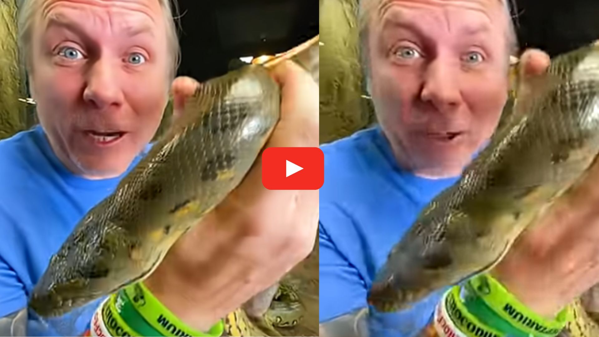 Snakes Ears Video: పాములకు చెవులు ఉంటాయా? ఈ వీడియో చూడండి.. తెలుస్తుంది! Snakes Ears Video: పాములకు చెవులు ఉంటాయా? ఈ వీడియో చూడండి.. తెలుస్తుంది!