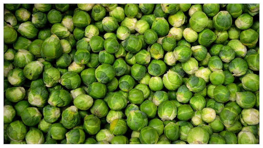 Brussel Sprouts: క్యాబేజీని పోలి ఉండే బ్రస్సెల్స్ మొలకలు.. బోలెడు పోషక విలువలు..!
