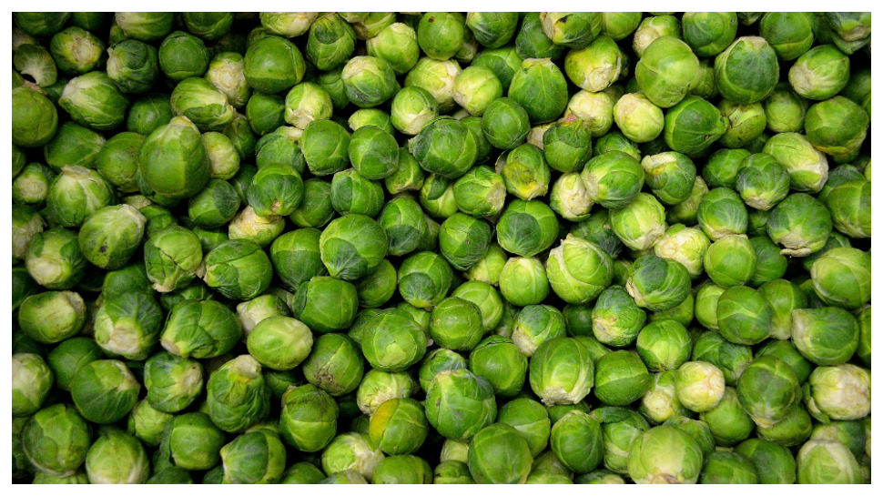 Brussel Sprouts: క్యాబేజీని పోలి ఉండే బ్రస్సెల్స్ మొలకలు.. బోలెడు పోషక విలువలు..! Brussel Sprouts: క్యాబేజీని పోలి ఉండే బ్రస్సెల్స్ మొలకలు.. బోలెడు పోషక విలువలు..!