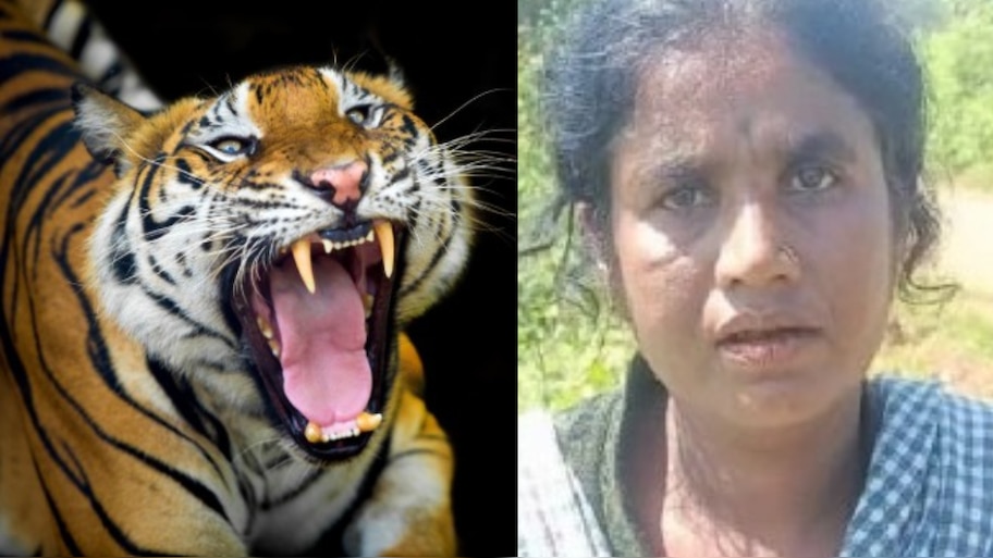 Karnataka: ఏంట్రా ఈ కన్నింగ్ ఐడియాలు..?.. భర్తను లేపేసి పులిపై నెట్టేసిన కిలేడీ.. అసలు స్టోరీ తెలిస్తే ఫ్యూజులు అవుట్..