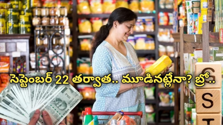 New GST Rates: సెప్టెంబర్‌ 22 వణుకు.. జేబుకు చిల్లు.. ఖరీదైనవిగా మారే వస్తువులు ఇవే.. మీకు మూడింది బ్రో..! 