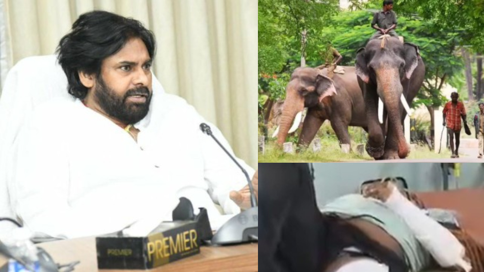 Pawan kalyan: కుంకీల్ని రంగంలోకి దింపండి.!. ఒంటరి ఏనుగు దాడి ఘటనపై పవన్ కళ్యాణ్ కీలక ఆదేశాలు.. Pawan kalyan: కుంకీల్ని రంగంలోకి దింపండి.!. ఒంటరి ఏనుగు దాడి ఘటనపై పవన్ కళ్యాణ్ కీలక ఆదేశాలు..