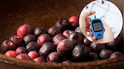 Falsa Fruit Benefits: ఈ పండు తింటే 30 రోజుల్లో షుగర్ కంట్రోల్ అవుతుంది..ఎందుకంటే?