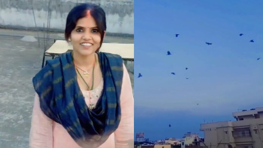 Video Viral:  అక్కా నువ్వు తోపు అసలు.!. పాపం..  కాకుల్ని  ఏమన్నామోసం చేసిందా..?.. ఫన్నీ వీడియో..