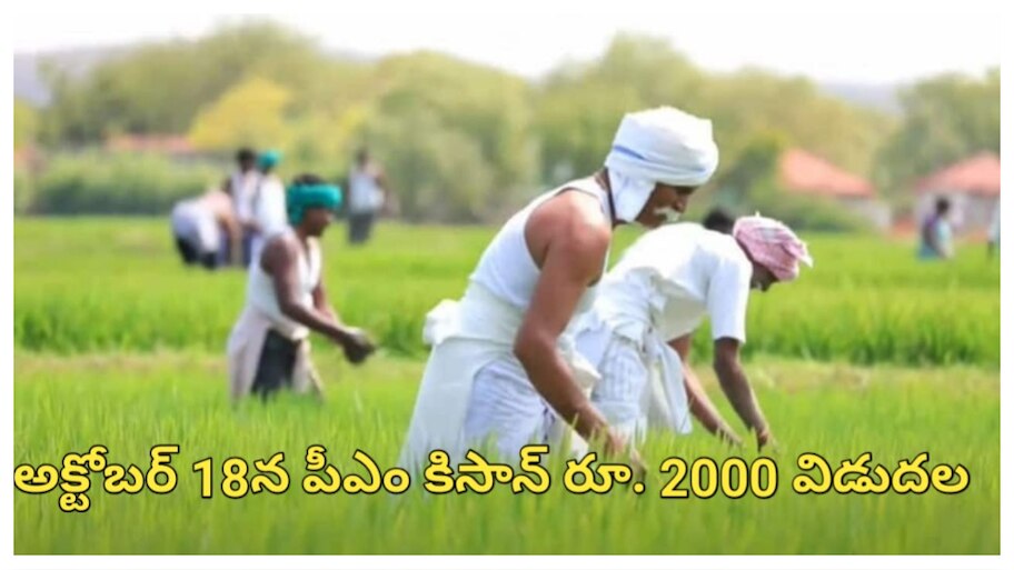 PM Kisan Yojana: దీపావళి ముందే రైతులకు భారీ గుడ్‌న్యూస్‌.. అక్టోబర్‌ 18న పీఎం కిసాన్‌ 21వ విడుత నిధుల విడుదల? 