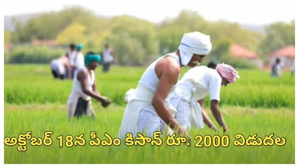 PM Kisan Yojana: దీపావళి ముందే రైతులకు భారీ గుడ్న్యూస్.. అక్టోబర్ 18న పీఎం కిసాన్ 21వ విడుత నిధుల విడుదల? PM Kisan Yojana: దీపావళి ముందే రైతులకు భారీ గుడ్న్యూస్.. అక్టోబర్ 18న పీఎం కిసాన్ 21వ విడుత నిధుల విడుదల?