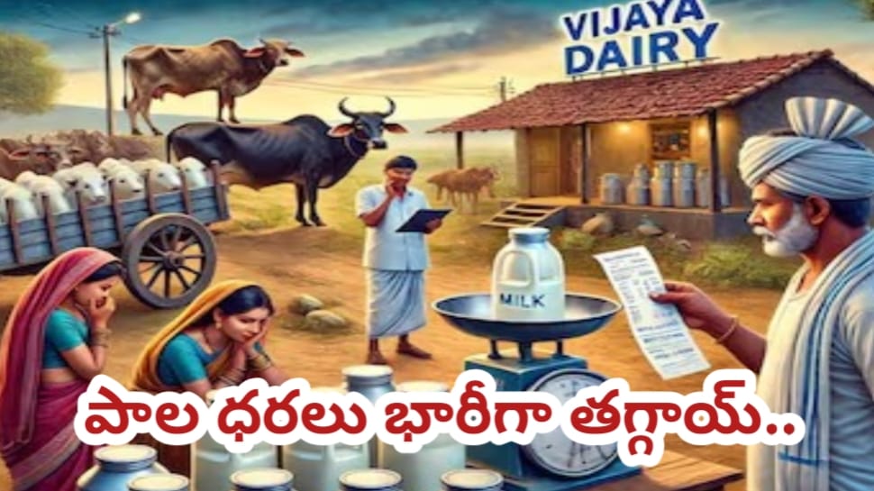 Milk Price: వినియోగదారులకు దసరా పండగ కానుక.. పాల ధరలు భారీగా తగ్గాయ్.. పన్నీర్, నెయ్యి, వెన్న ధరలు కూడా తగ్గింపు..!! Milk Price: వినియోగదారులకు దసరా పండగ కానుక.. పాల ధరలు భారీగా తగ్గాయ్.. పన్నీర్, నెయ్యి, వెన్న ధరలు కూడా తగ్గింపు..!!