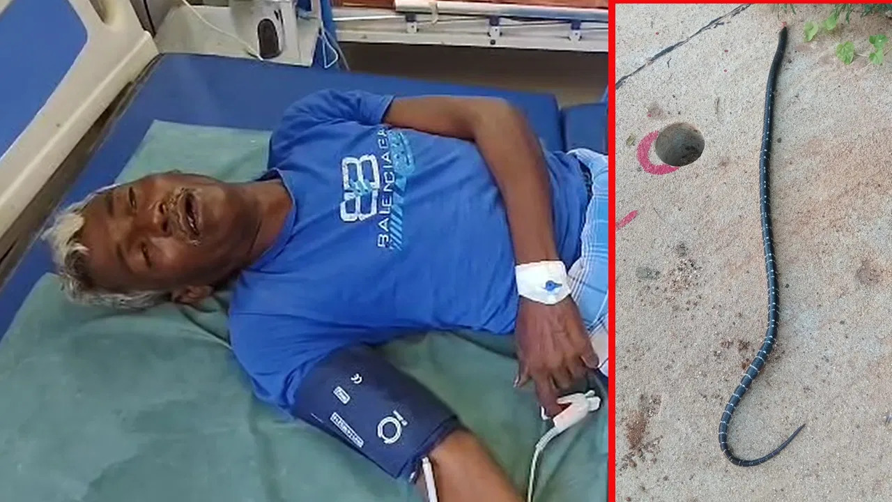 Man Bites Snake: తిరుపతిలో దారుణం..కాటేసిన పాము తల కొరికేసిన మందుబాబు..చివరికి! Man Bites Snake: తిరుపతిలో దారుణం..కాటేసిన పాము తల కొరికేసిన మందుబాబు..చివరికి!