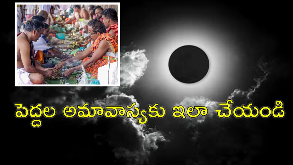 Mahalaya amavasya: పెద్దల అమావాస్య రోజు ఈ పని చేయండి.. మీకు, కుటుంబానికి పుణ్యఫలం Mahalaya amavasya: పెద్దల అమావాస్య రోజు ఈ పని చేయండి.. మీకు, కుటుంబానికి పుణ్యఫలం