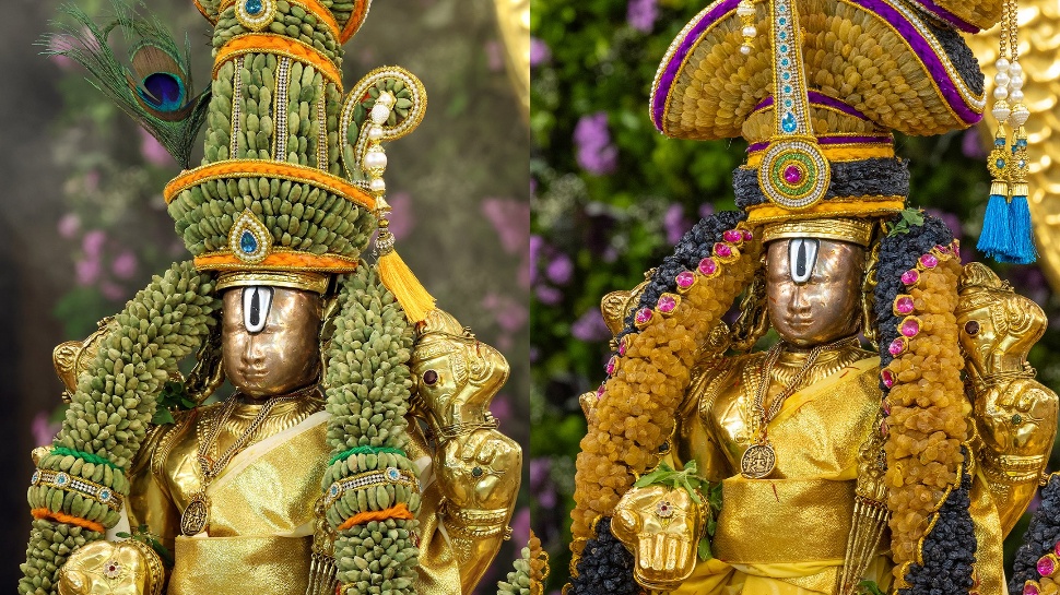 Tirumala: వైభవోపేతంగా బ్రహ్మోత్సవాలు.. డ్రైఫ్రూట్స్తో నిండిన తిరుమల ప్రధాన ఆలయం Tirumala: వైభవోపేతంగా బ్రహ్మోత్సవాలు.. డ్రైఫ్రూట్స్తో నిండిన తిరుమల ప్రధాన ఆలయం
