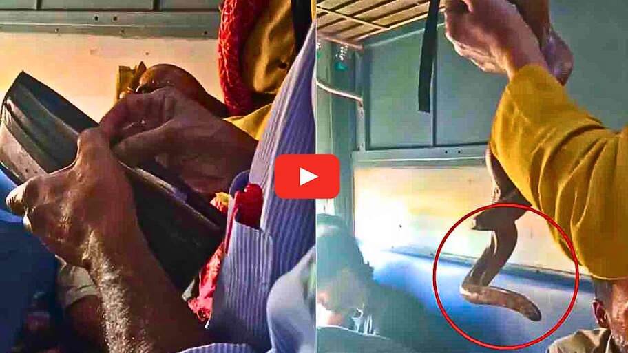 Snake Video: ఇది మామూలు అడుక్కోవడం కాదు.. పాముతో భయపెట్టి అడుక్కుంటున్న బెగ్గర్.. వీడియో ఇదే..