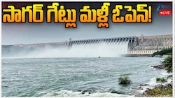 Nagarjuna Sagar: తెలంగాణలో కృష్ణమ్మ పరవళ్లు.. ఐదోసారి సాగర్‌ 26 గేట్లు ఎత్తివేత