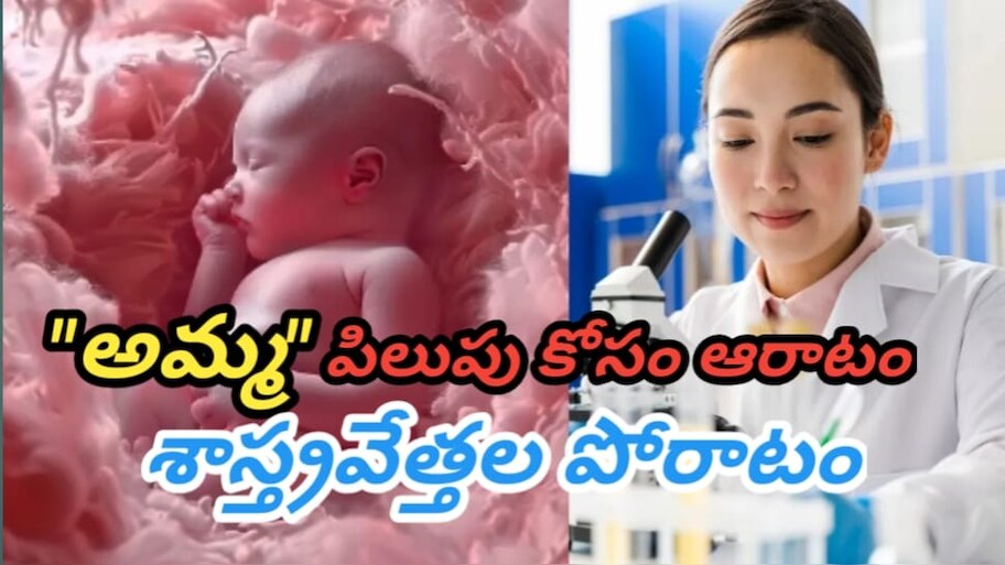 Artificial Womb: గర్భం దాల్చకుండానే పిల్లలు పుట్టవచ్చు.. శాస్త్రవేత్తలు చెప్పిన అద్భుత సత్యం.. ఇది తెలుసుకుంటే...!!