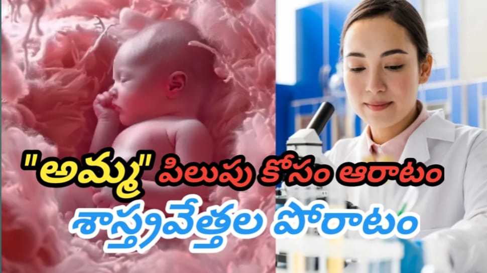 Artificial Womb: గర్భం దాల్చకుండానే పిల్లలు పుట్టవచ్చు.. శాస్త్రవేత్తలు చెప్పిన అద్భుత సత్యం.. ఇది తెలుసుకుంటే...!! Artificial Womb: గర్భం దాల్చకుండానే పిల్లలు పుట్టవచ్చు.. శాస్త్రవేత్తలు చెప్పిన అద్భుత సత్యం.. ఇది తెలుసుకుంటే...!!