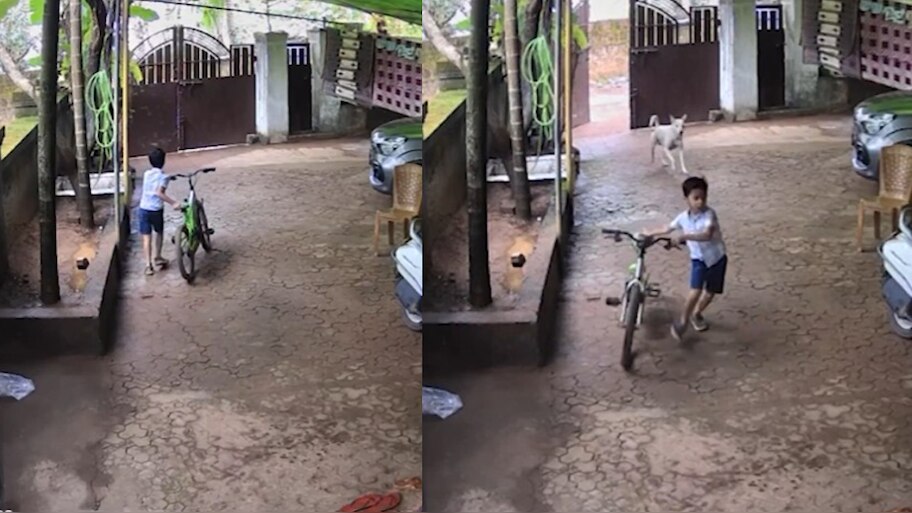 Stray dog Attack Video: మరోసారి స్ట్రీట్‌డాగ్ బీభత్సం.. ఆరేళ్ల బాలుడిపై వీధికుక్కల దాడి.. షాకింగ్ వీడియో..