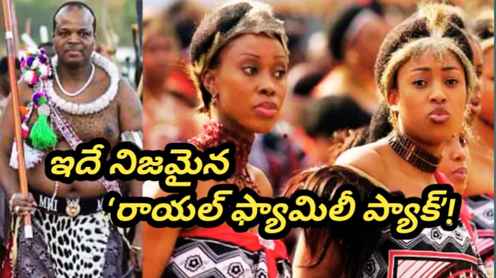 Eswatini King: 15 మంది భార్యలు, 30 మంది పిల్లలు, 100 మంది సేవకులు.. అబుదాబి ఎయిర్‌పోర్టుకు విచ్చేసిన రసిక రాజుగారు.. వీడియో వైరల్..!! 