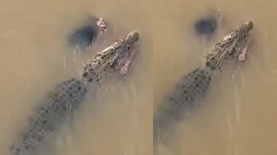 Crocodile Drags Woman Video: వామ్మో.. మహిళను నీళ్లలోకి లాక్కెళ్తున్న భారీ మొసలి.. ఓళ్లు గగుర్పొడిచే వీడియో.. Crocodile Drags Woman Video: వామ్మో.. మహిళను నీళ్లలోకి లాక్కెళ్తున్న భారీ మొసలి.. ఓళ్లు గగుర్పొడిచే వీడియో..