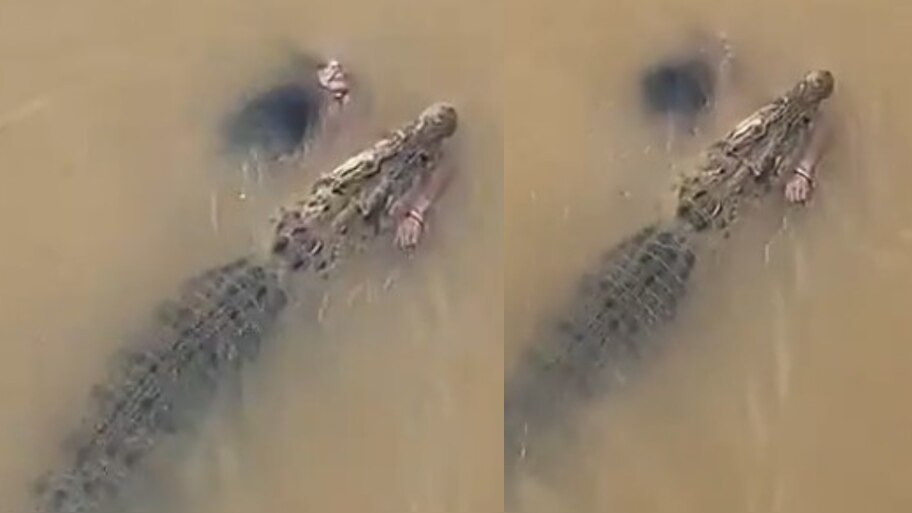Crocodile Drags Woman Video:  వామ్మో.. మహిళను నీళ్లలోకి లాక్కెళ్తున్న భారీ మొసలి.. ఓళ్లు గగుర్పొడిచే వీడియో..