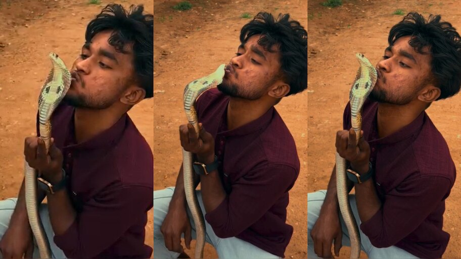 Snake Video: ఏంట్రా.. అదెమన్నా నీ పోరీ అనుకున్నావా..?.. నాగుపాముకు కసితీరా ముద్దులు.. ఇంతలో..?.. షాకింగ్ వీడియో..