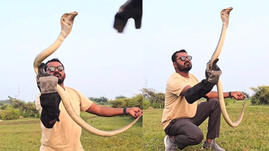 Snake Video: వామ్మో.. ఏంగుండెరా వాడిదీ.. పడగ విప్పిన కోడెనాగుతో డెంజర్ స్టంట్‌లు.. ఓళ్లు గగుర్పొడిచే వీడియో..