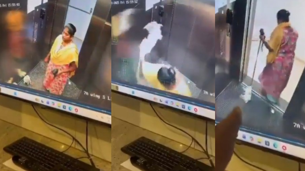 Maid Kills Pet Puppy Video: నువ్వసలు మనిషివేనా..?.. లిఫ్ట్లో కుక్కపిల్లను నెలకేసి కొట్టి చంపిన పనిమనిషి.. షాకింగ్ వీడియో.. Maid Kills Pet Puppy Video: నువ్వసలు మనిషివేనా..?.. లిఫ్ట్లో కుక్కపిల్లను నెలకేసి కొట్టి చంపిన పనిమనిషి.. షాకింగ్ వీడియో..