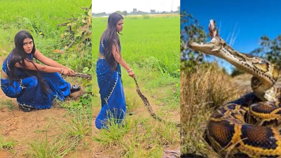 Video Viral: నువ్వు తోపు అక్కా.!. భారీ కొండ చిలువను ఉత్త చేతులతో బైటకు లాగుతున్న యువతి.. షాకింగ్ వీడియో..