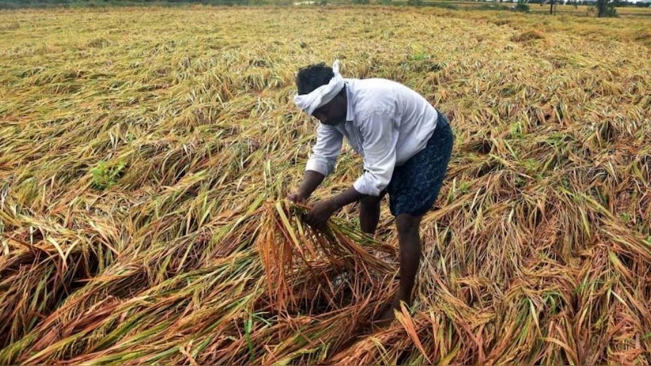 AP Govt: ఏపీలో పంట నష్టపోయిన రైతులకు రూ. 25 వేలు.. వ్యవసాయశాఖ మంత్రి అచ్చెన్నాయుడు ప్రకటన