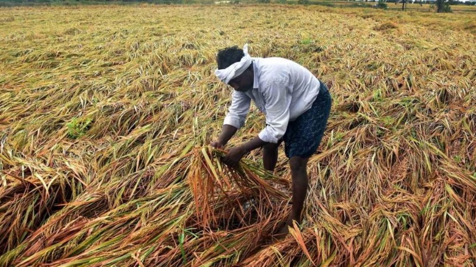 AP Govt: ఏపీలో పంట నష్టపోయిన రైతులకు రూ. 25 వేలు.. వ్యవసాయశాఖ మంత్రి అచ్చెన్నాయుడు ప్రకటన AP Govt: ఏపీలో పంట నష్టపోయిన రైతులకు రూ. 25 వేలు.. వ్యవసాయశాఖ మంత్రి అచ్చెన్నాయుడు ప్రకటన