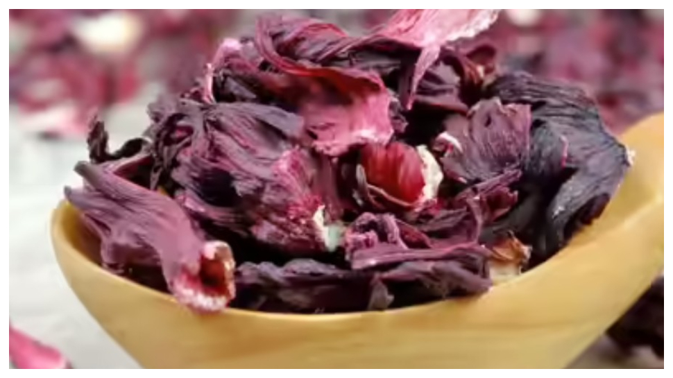 Hibiscus Mask: జుట్టు ర్యాపిడ్ స్పీడ్లో బలంగా.. మందంగా పెంచే మందార హెయిర్ మాస్క్! Hibiscus Mask: జుట్టు ర్యాపిడ్ స్పీడ్లో బలంగా.. మందంగా పెంచే మందార హెయిర్ మాస్క్!