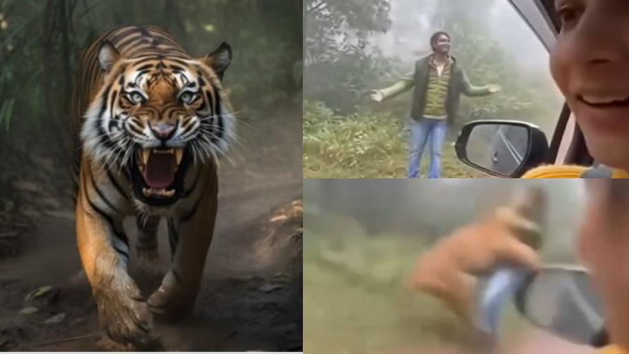 Tiger Attack Video: వామ్మో.. అడవిలో టూరిస్టును మెరుపు వేగంతో లాక్కెళ్లిన పెద్దపులి.. ఓళ్లుగగుర్పొడిచే వీడియో..