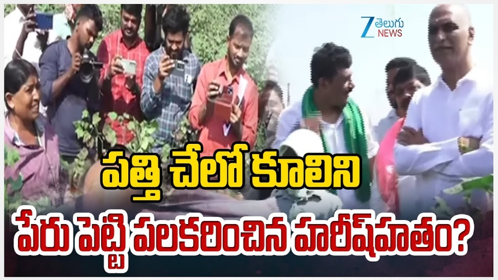 Cotton Farmers: ఎందుకు విజయోత్సవాలు రేవంత్ రెడ్డి? రైతులను ముంచినందుకా? Cotton Farmers: ఎందుకు విజయోత్సవాలు రేవంత్ రెడ్డి? రైతులను ముంచినందుకా?
