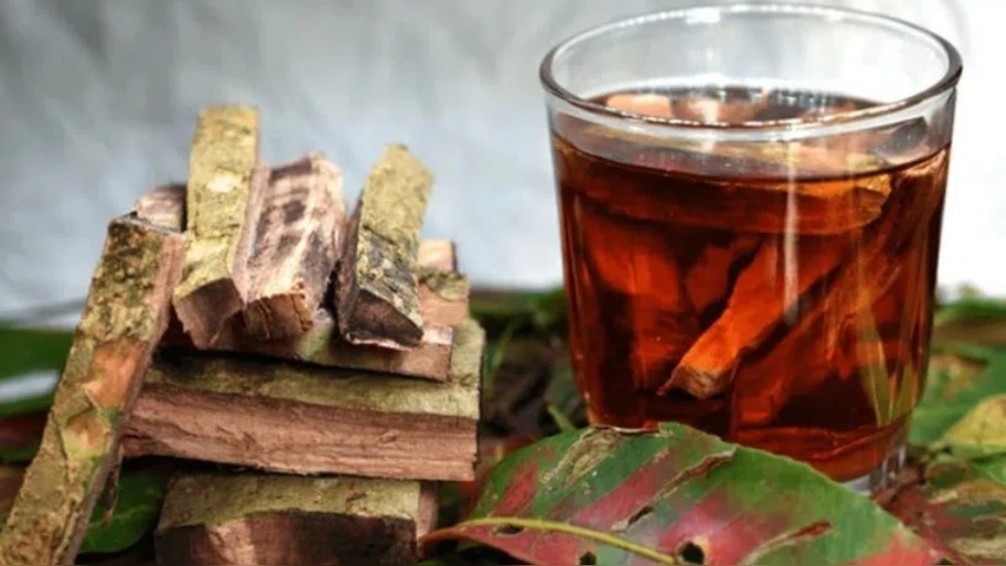 Arjuna Bark Water: నిద్ర పట్టడం లేదా.. కుంభకర్ణుడిలా బజ్జోవాలంటే పడుకునే ముందు ఇదొక్క గ్లాస్ తాగండి చాలు..!