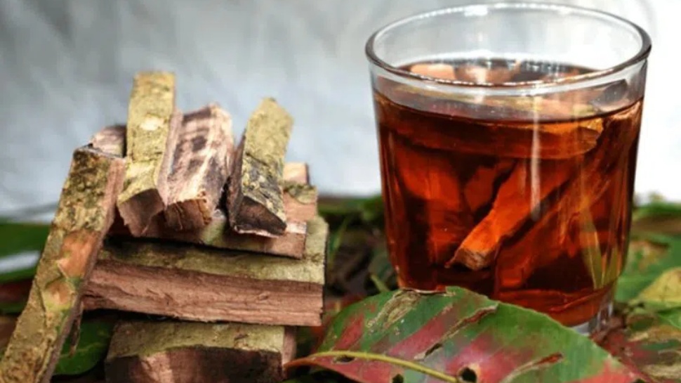Arjuna Bark Water: నిద్ర పట్టడం లేదా.. కుంభకర్ణుడిలా బజ్జోవాలంటే పడుకునే ముందు ఇదొక్క గ్లాస్ తాగండి చాలు..! Arjuna Bark Water: నిద్ర పట్టడం లేదా.. కుంభకర్ణుడిలా బజ్జోవాలంటే పడుకునే ముందు ఇదొక్క గ్లాస్ తాగండి చాలు..!