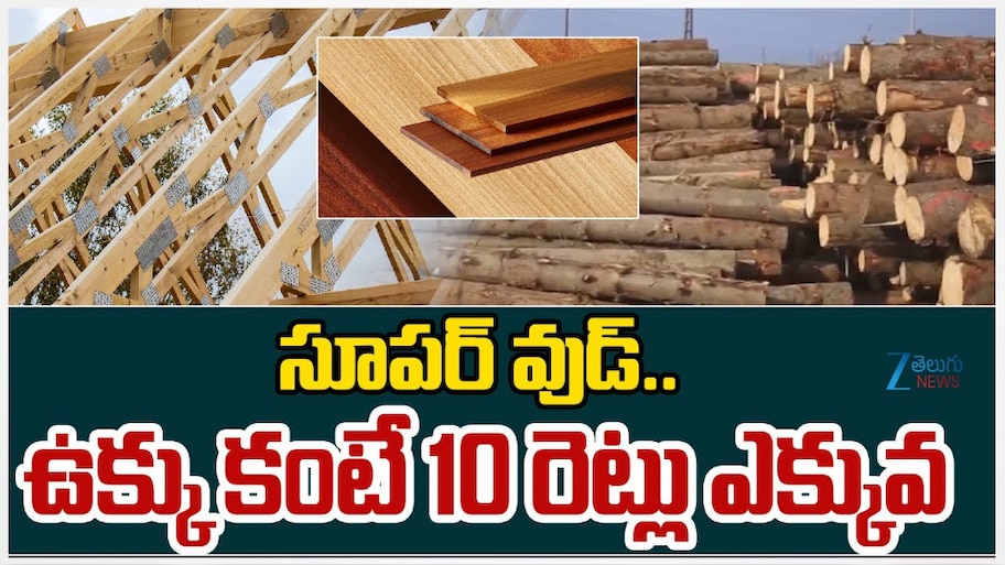 Super Wood: సూపర్ వుడ్.. ఉక్కు కంటే 10 రెట్లు ఎక్కువ.. 